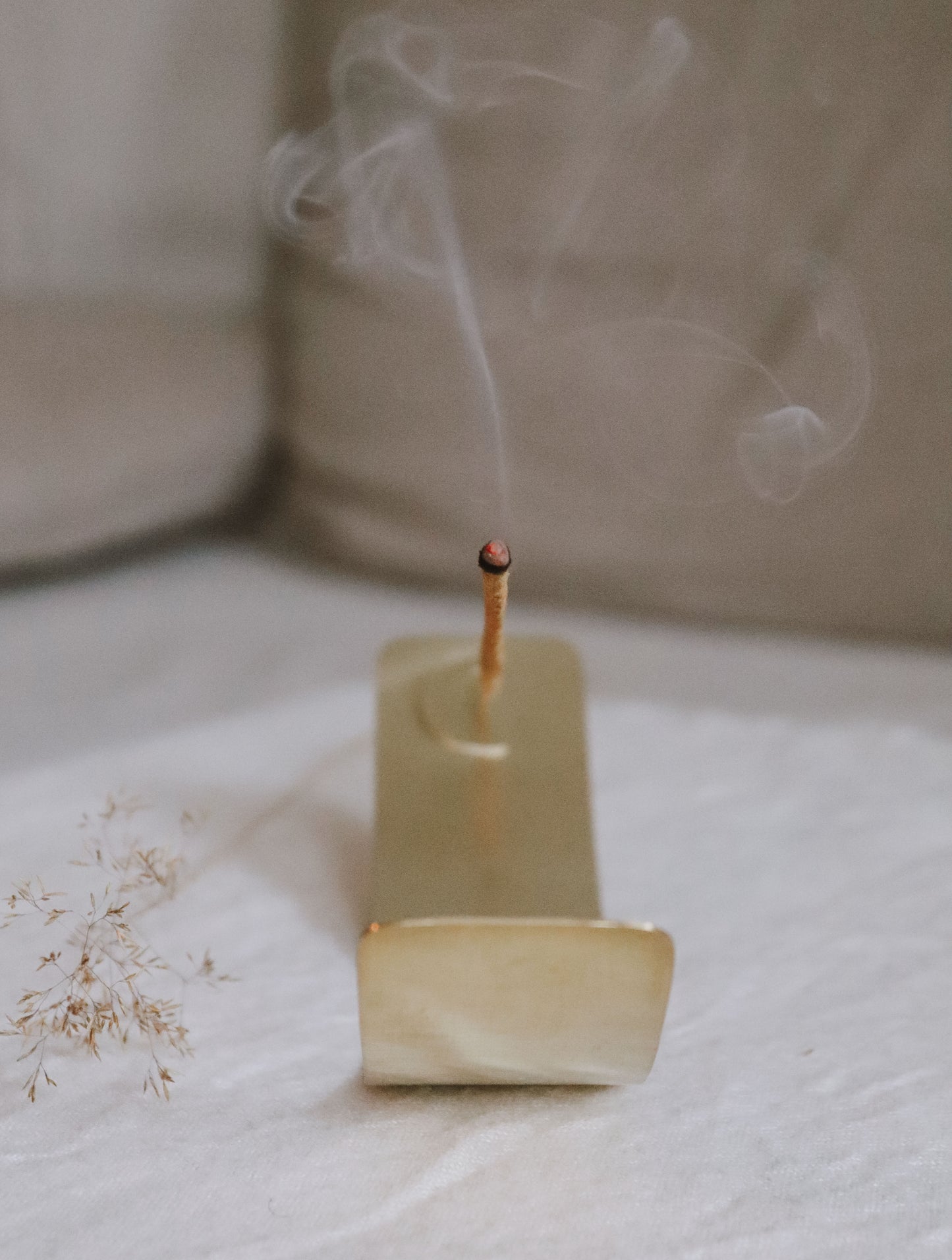 Lunette Incense Holder